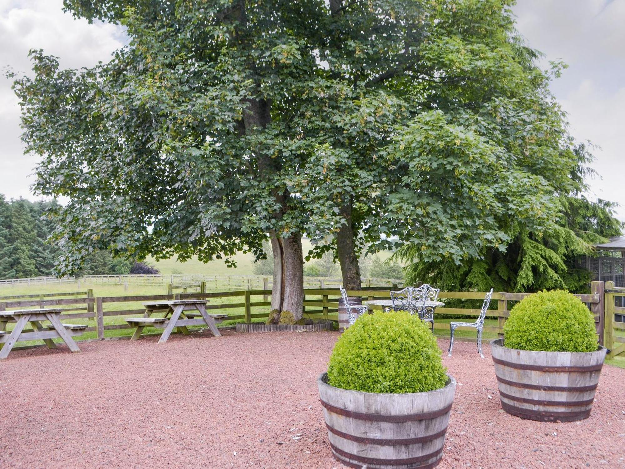Broomstick Cottage Elsdon المظهر الخارجي الصورة