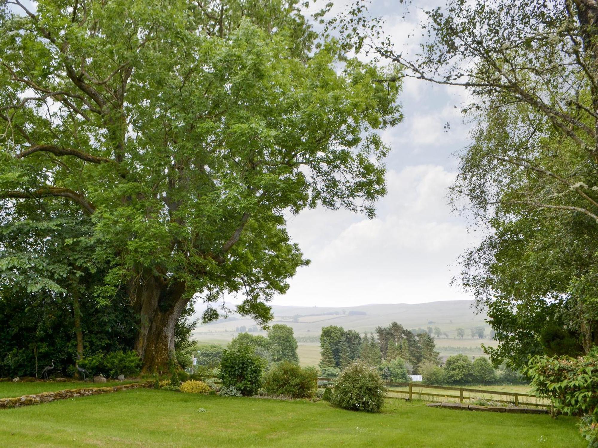 Broomstick Cottage Elsdon المظهر الخارجي الصورة